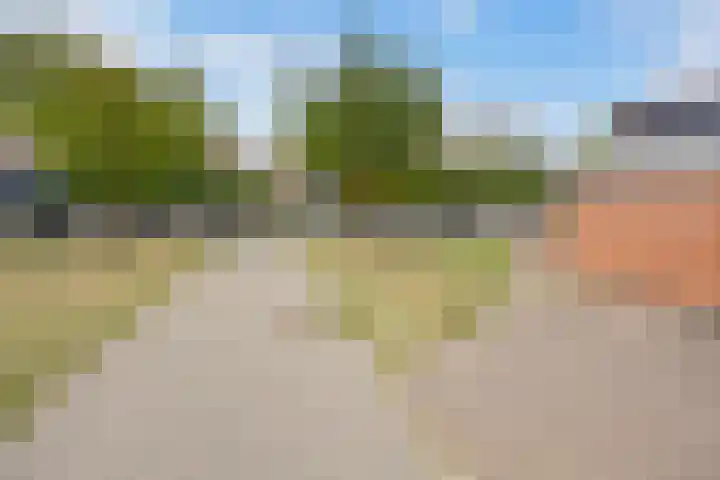 Corterhoven 56 Druten thumbnail 47