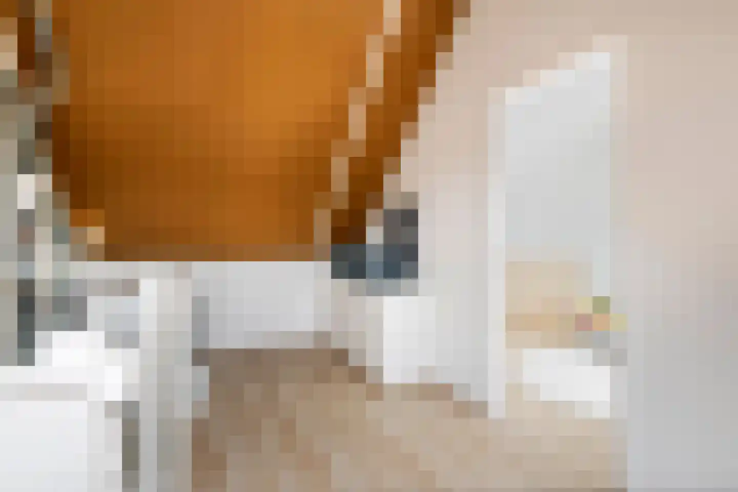 Corterhoven 84 Druten thumbnail 26