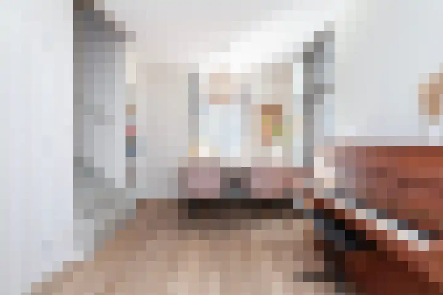 Cortgene 113 Alblasserdam thumbnail 10