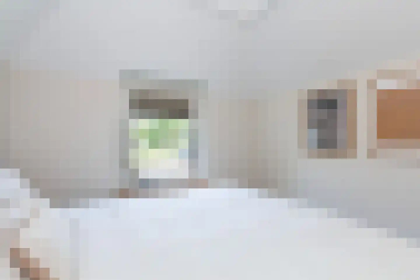 Cortgene 113 Alblasserdam thumbnail 18