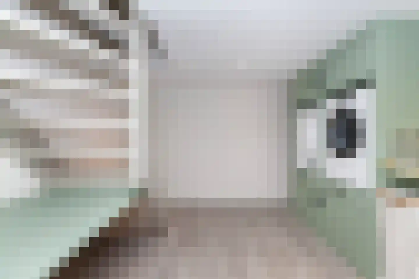 Cortgene 113 Alblasserdam thumbnail 27