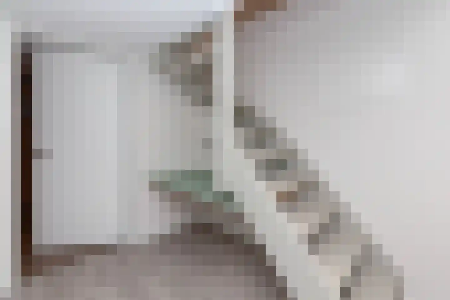 Cortgene 113 Alblasserdam thumbnail 28