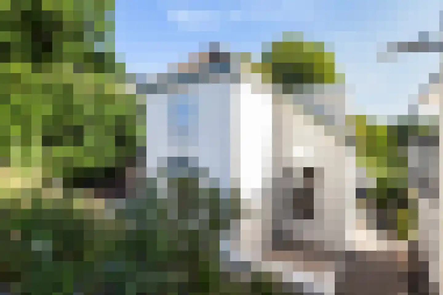 Cortgene 113 Alblasserdam thumbnail 35