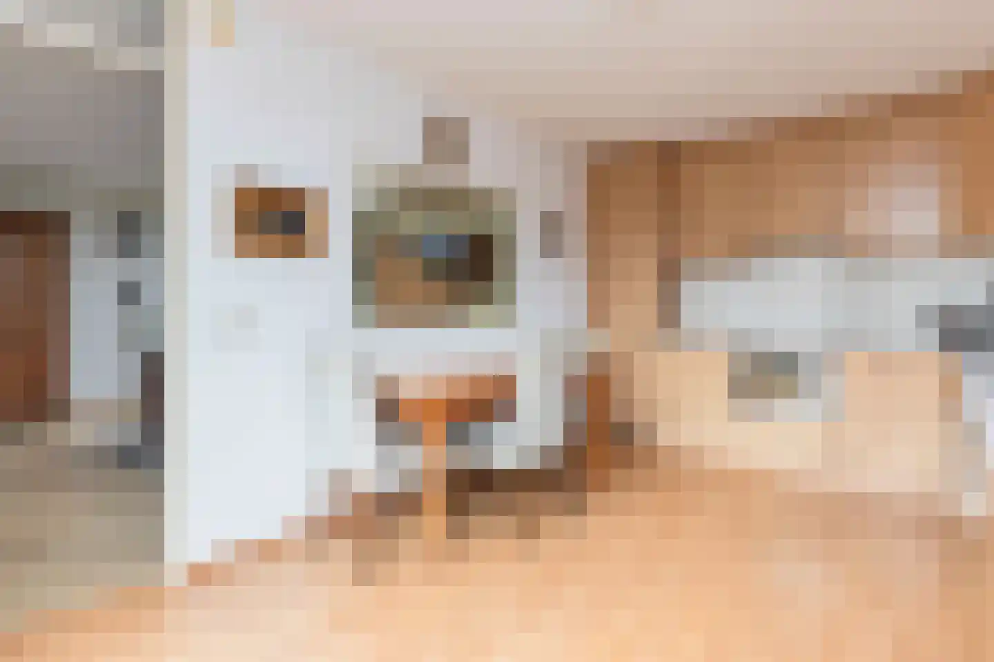 Cortgenehof 1 Alblasserdam thumbnail 15
