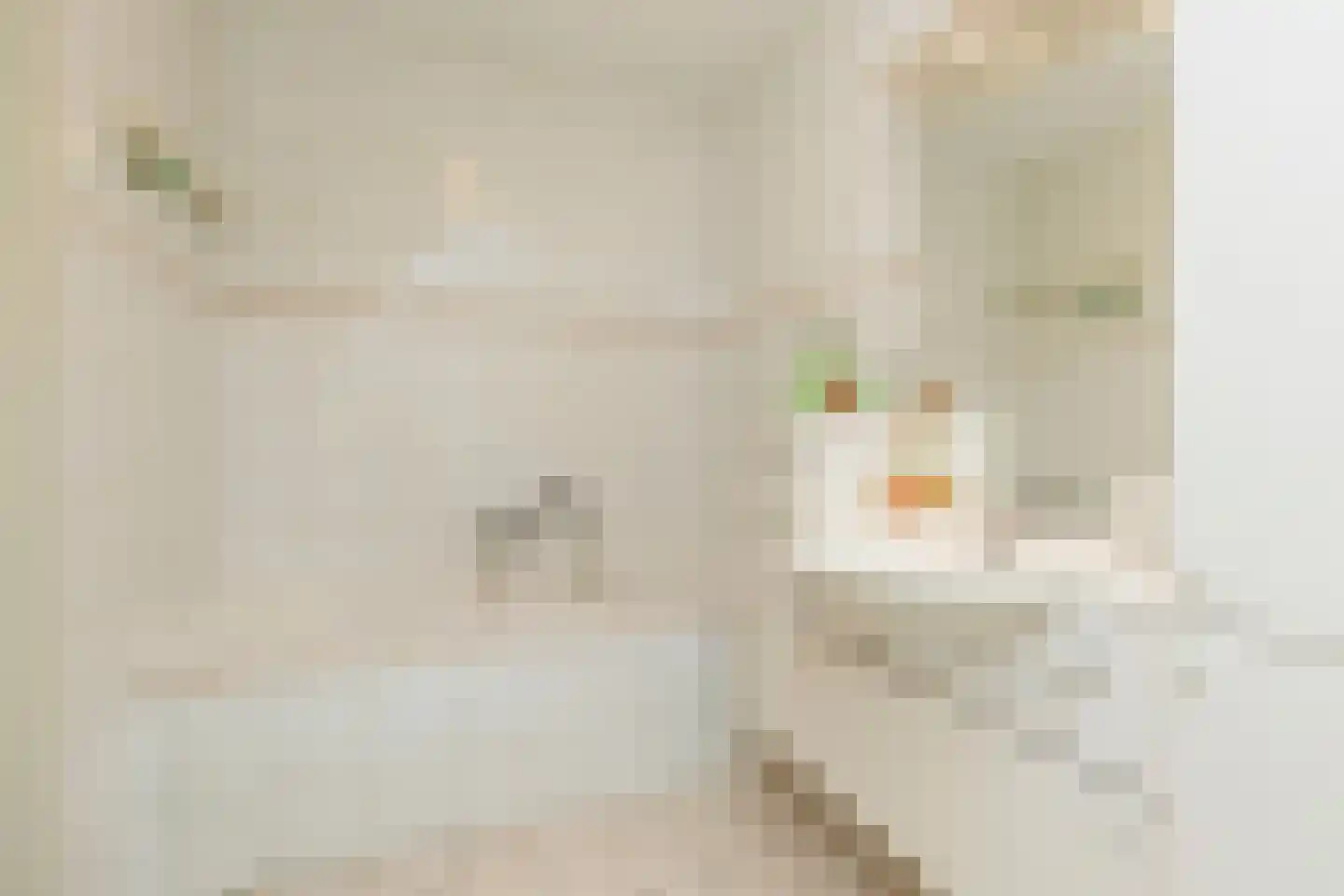 Cortgenehof 1 Alblasserdam thumbnail 27