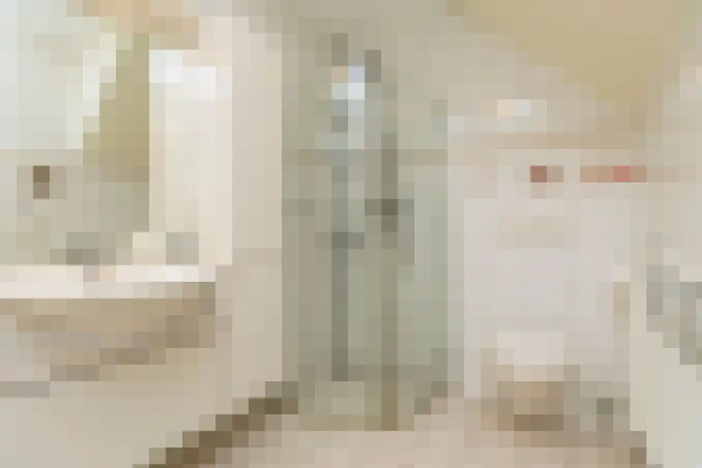 Cortgenehof 1 Alblasserdam thumbnail 28