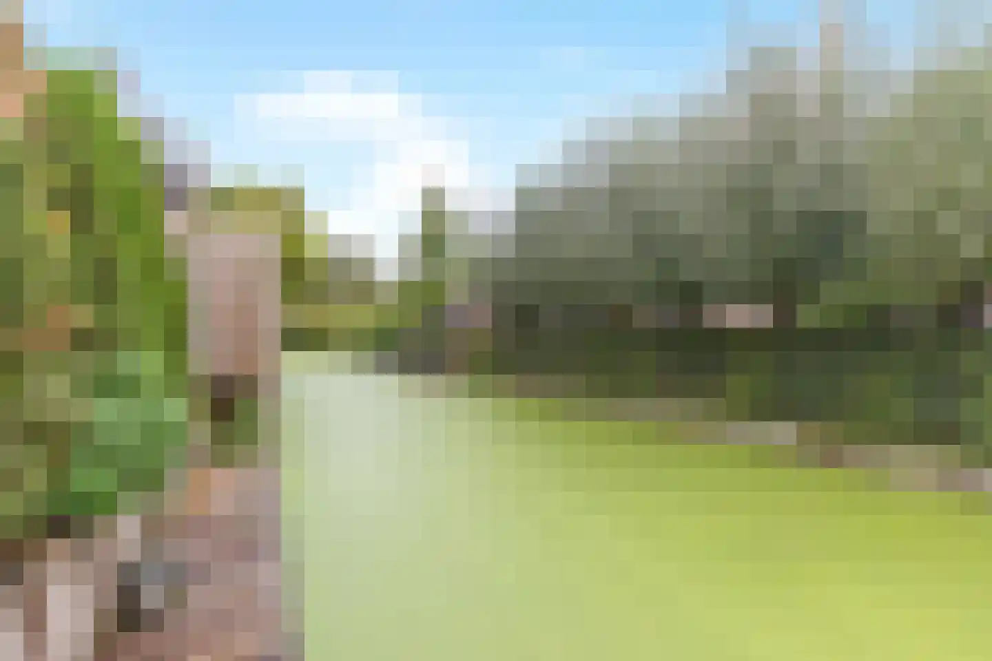 Cortgenehof 1 Alblasserdam thumbnail 32