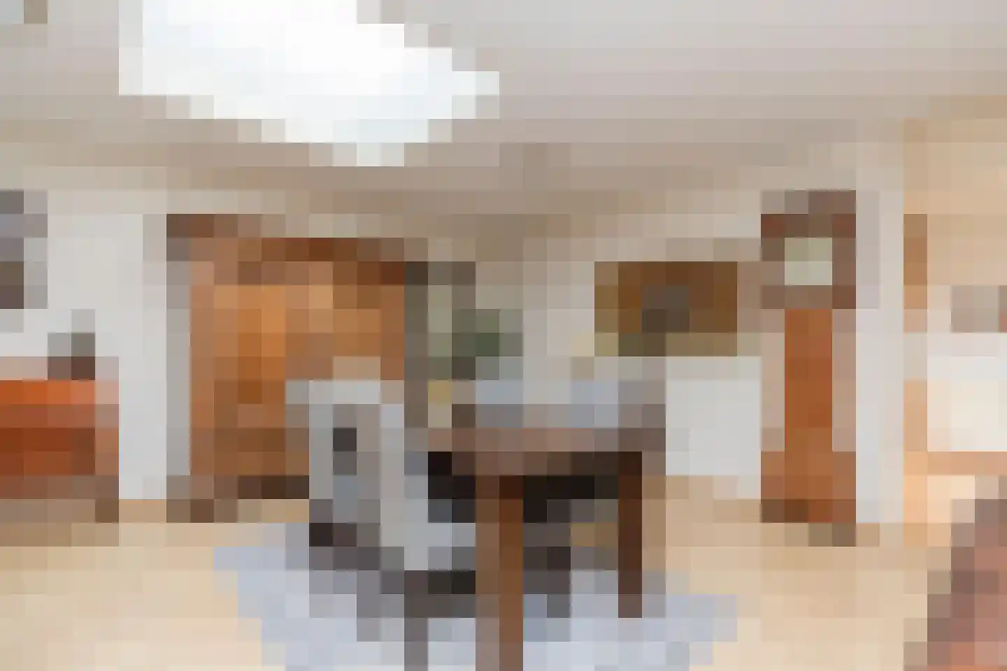 Cortgenehof 1 Alblasserdam thumbnail 9