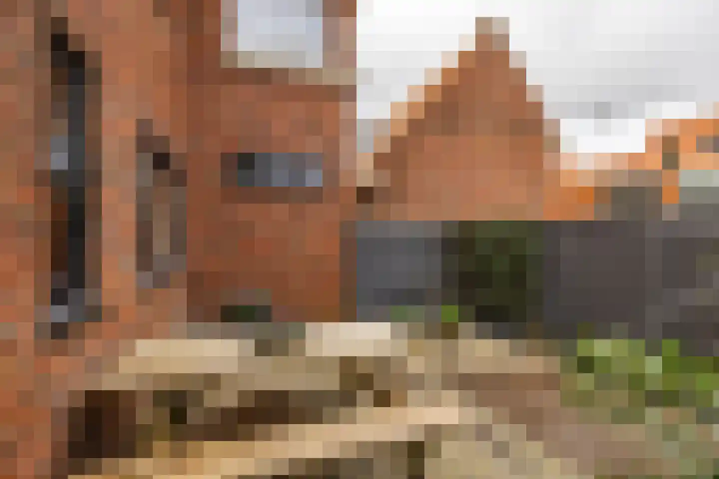 Cortinghlaan 46 Groningen thumbnail 25