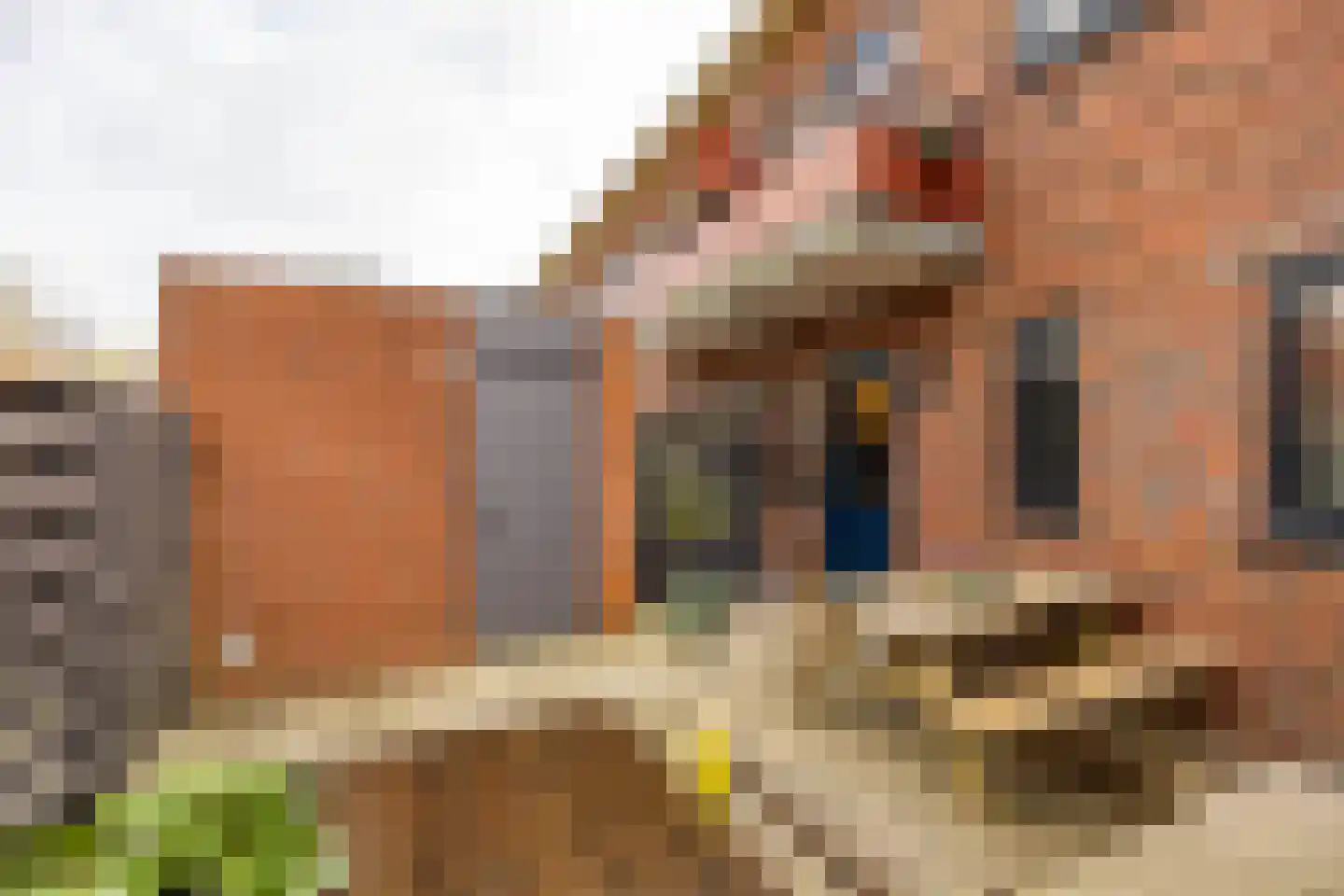 Cortinghlaan 46 Groningen thumbnail 27