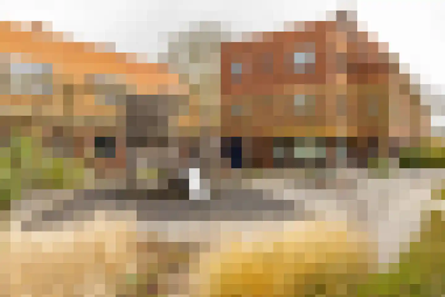 Cortinghlaan 46 Groningen thumbnail 28