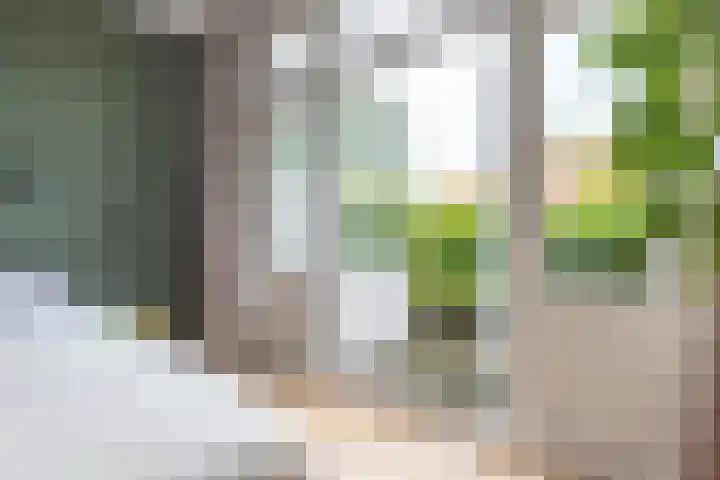 Corverlaan 16 Bussum thumbnail 31