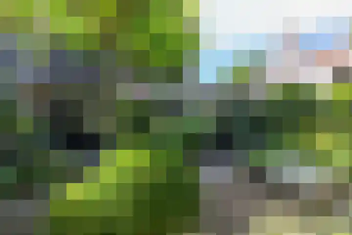 Corverlaan 16 Bussum thumbnail 57