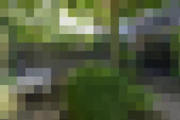 Corverlaan 16 Bussum thumbnail 59
