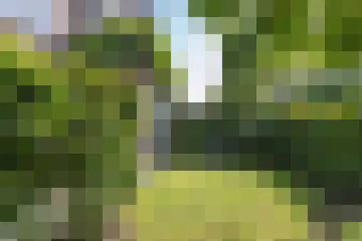Corverlaan 16 Bussum thumbnail 61