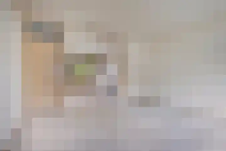 Corversbos 129 Hoofddorp thumbnail 12