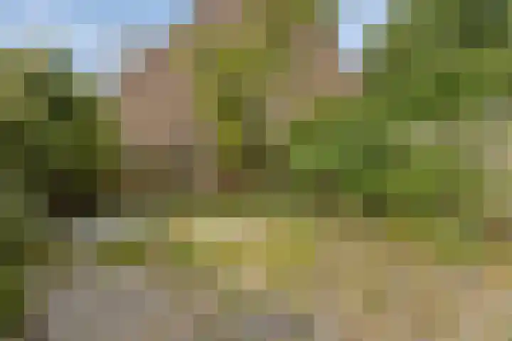 Corversbos 129 Hoofddorp thumbnail 21