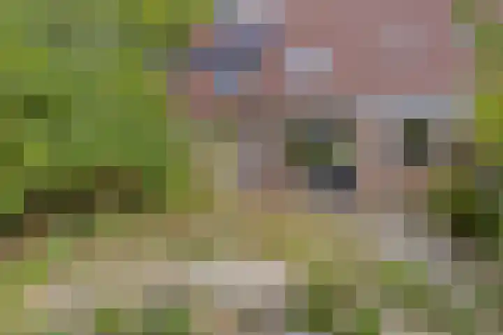 Corversbos 129 Hoofddorp thumbnail 22