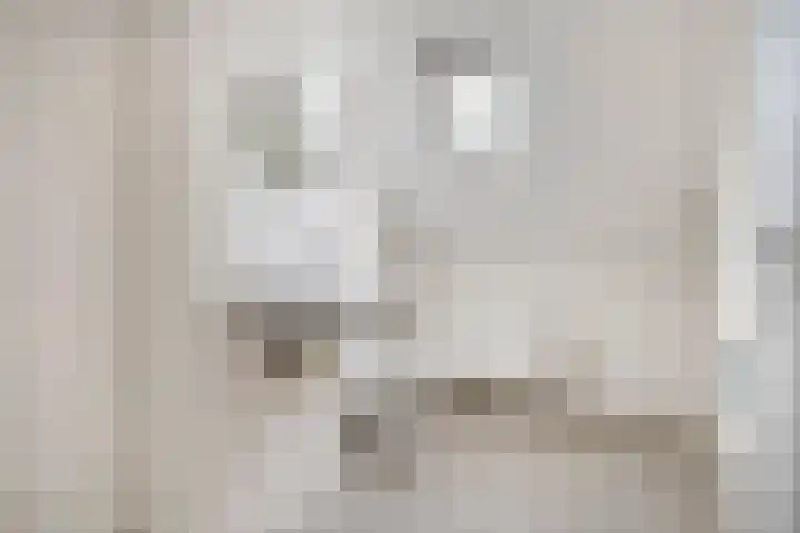 Corversbos 129 Hoofddorp thumbnail 29