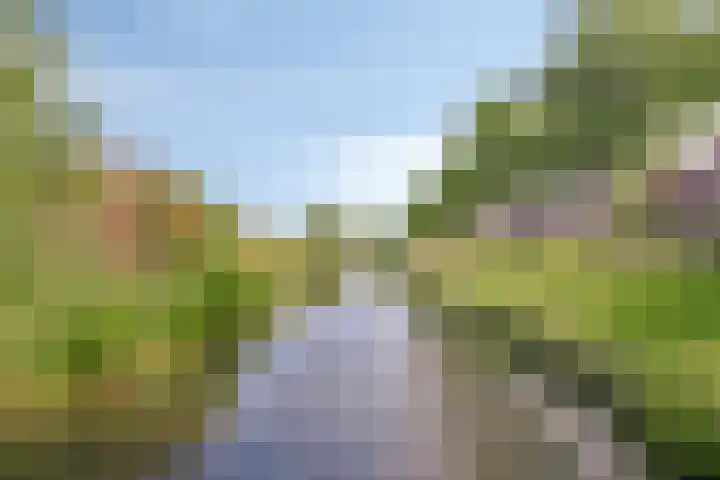 Corversbos 129 Hoofddorp thumbnail 42