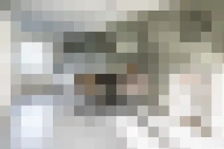 Corversbos 151 Hoofddorp thumbnail 12