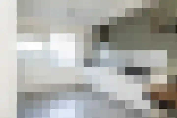 Corversbos 151 Hoofddorp thumbnail 13
