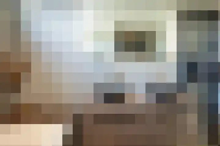 Corversbos 151 Hoofddorp thumbnail 22