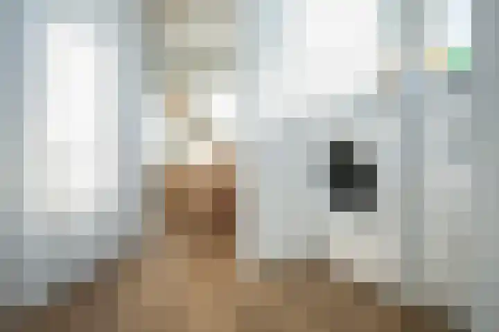 Corversbos 151 Hoofddorp thumbnail 26