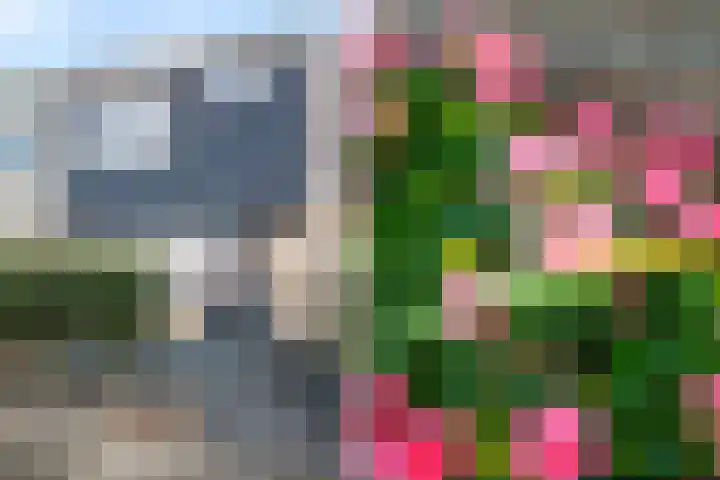 Corversbos 151 Hoofddorp thumbnail 5