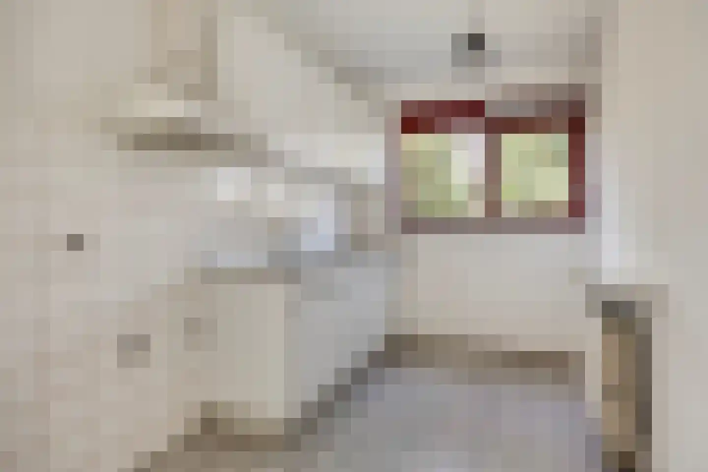 Corversbos 195 Hoofddorp thumbnail 22