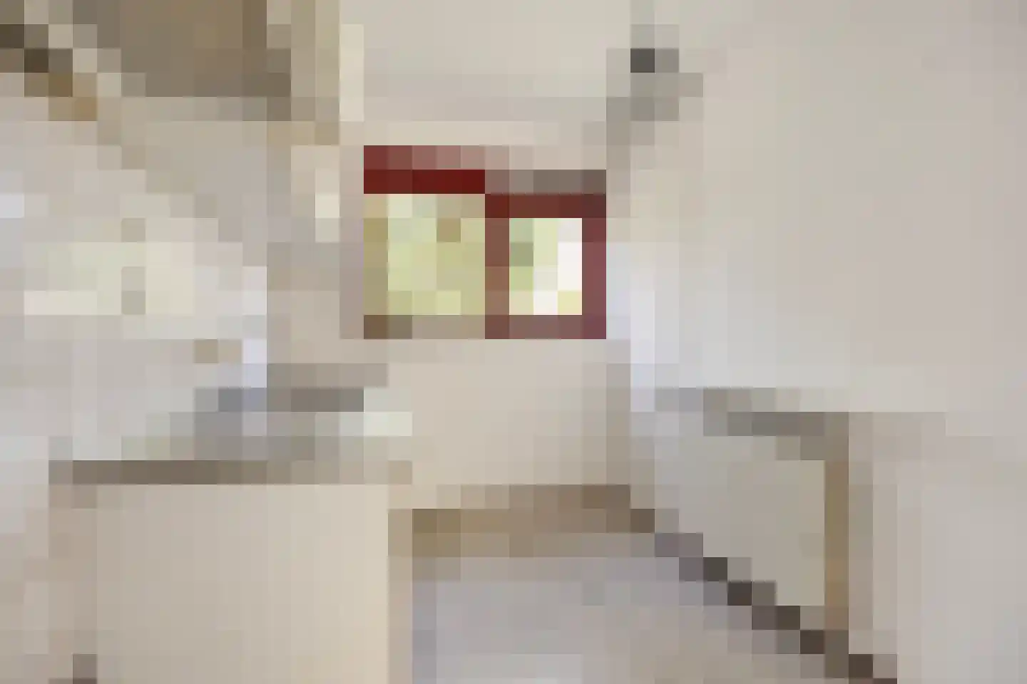 Corversbos 195 Hoofddorp thumbnail 24
