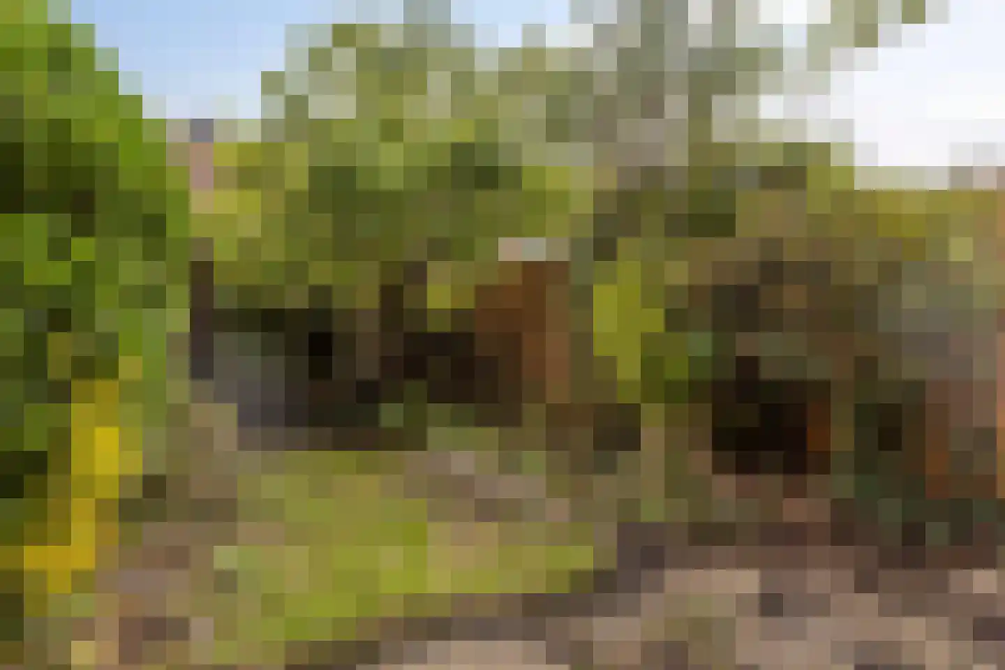 Corversbos 195 Hoofddorp thumbnail 53
