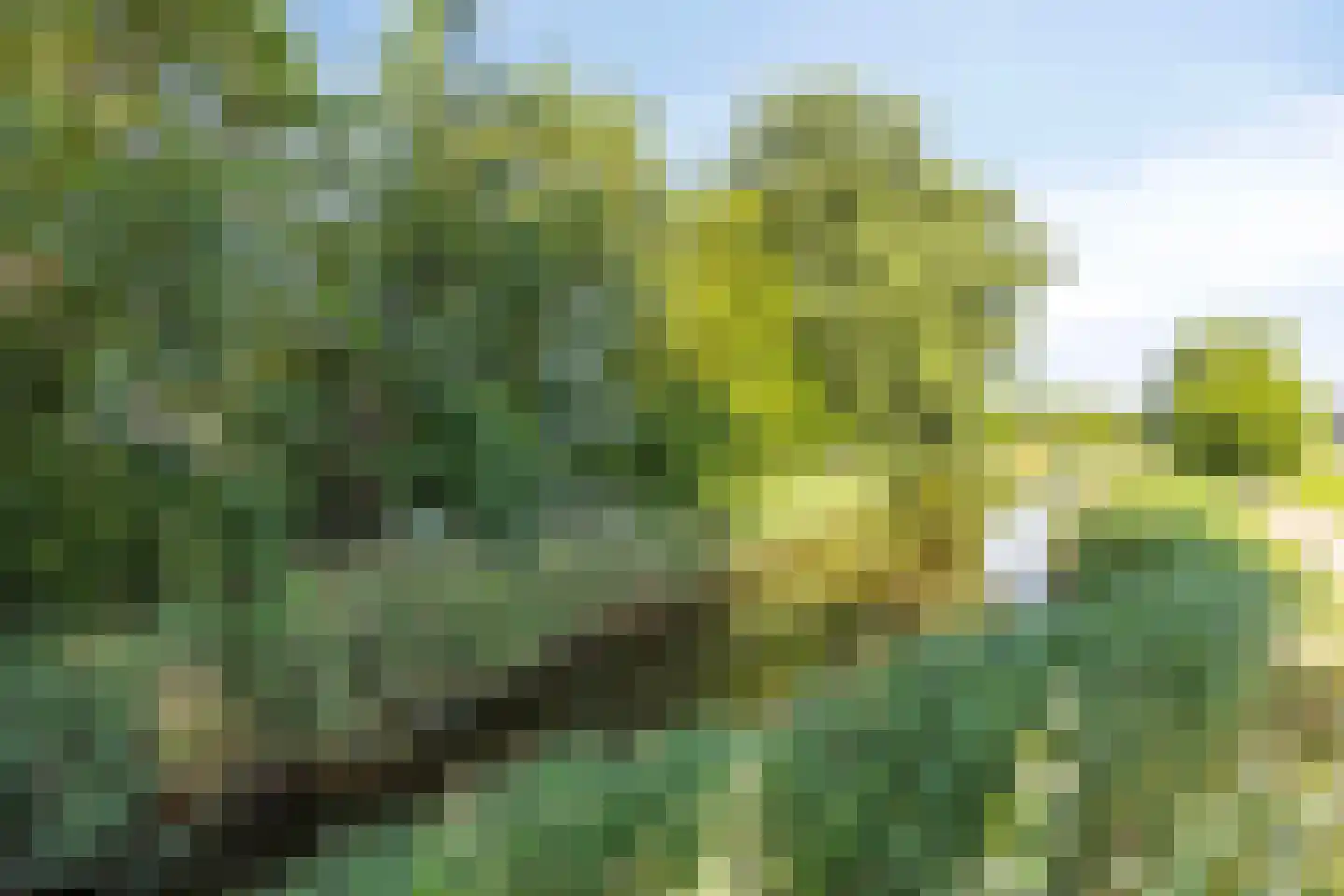 Corversbos 195 Hoofddorp thumbnail 57