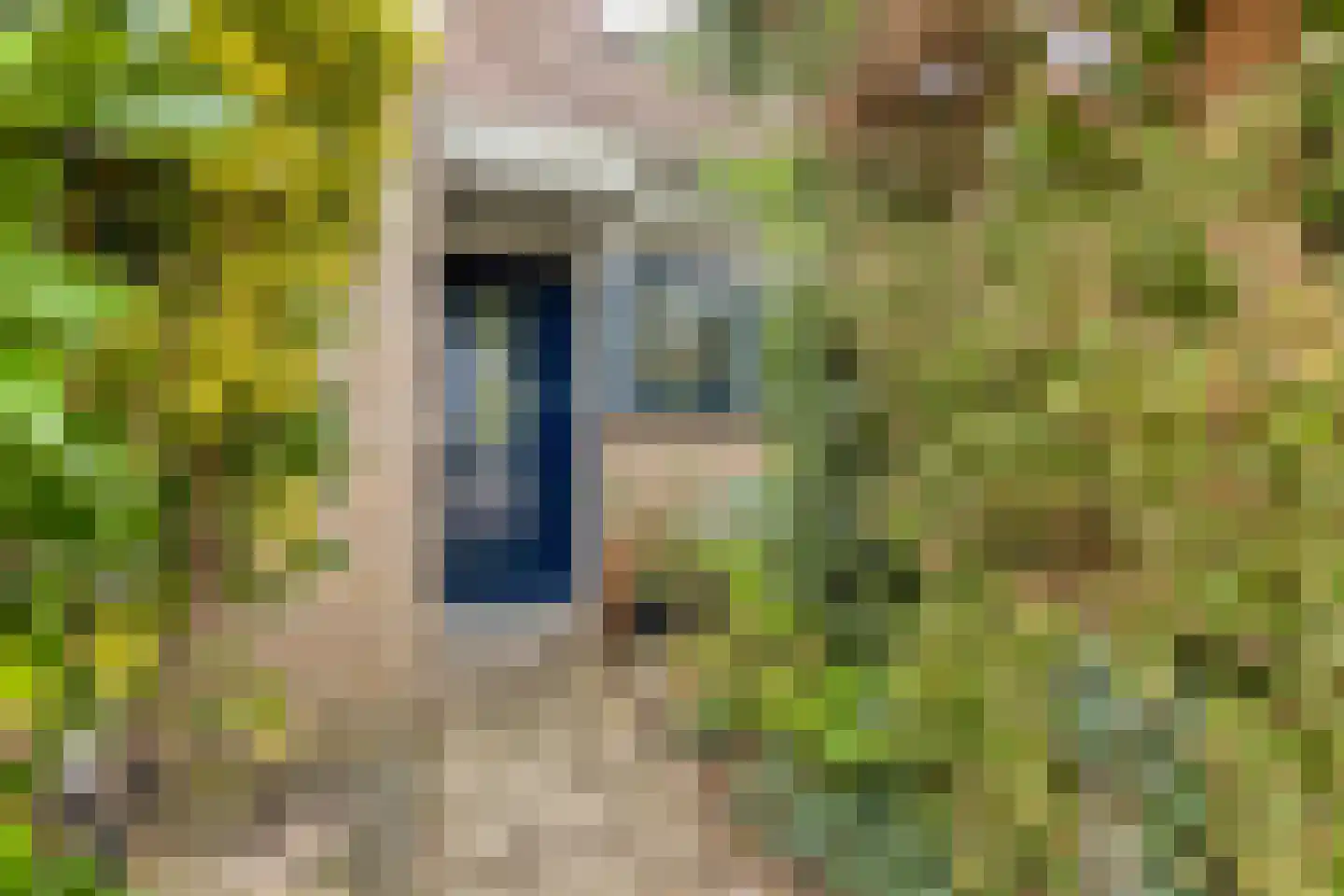 Corversbos 195 Hoofddorp thumbnail 9