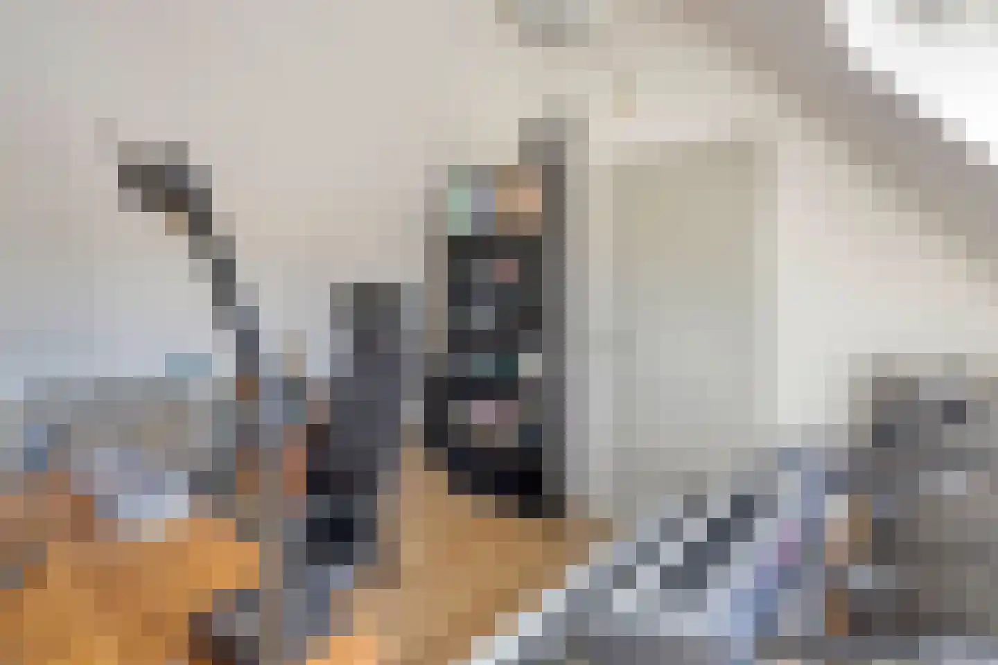 Corversbos 211 Hoofddorp thumbnail 19