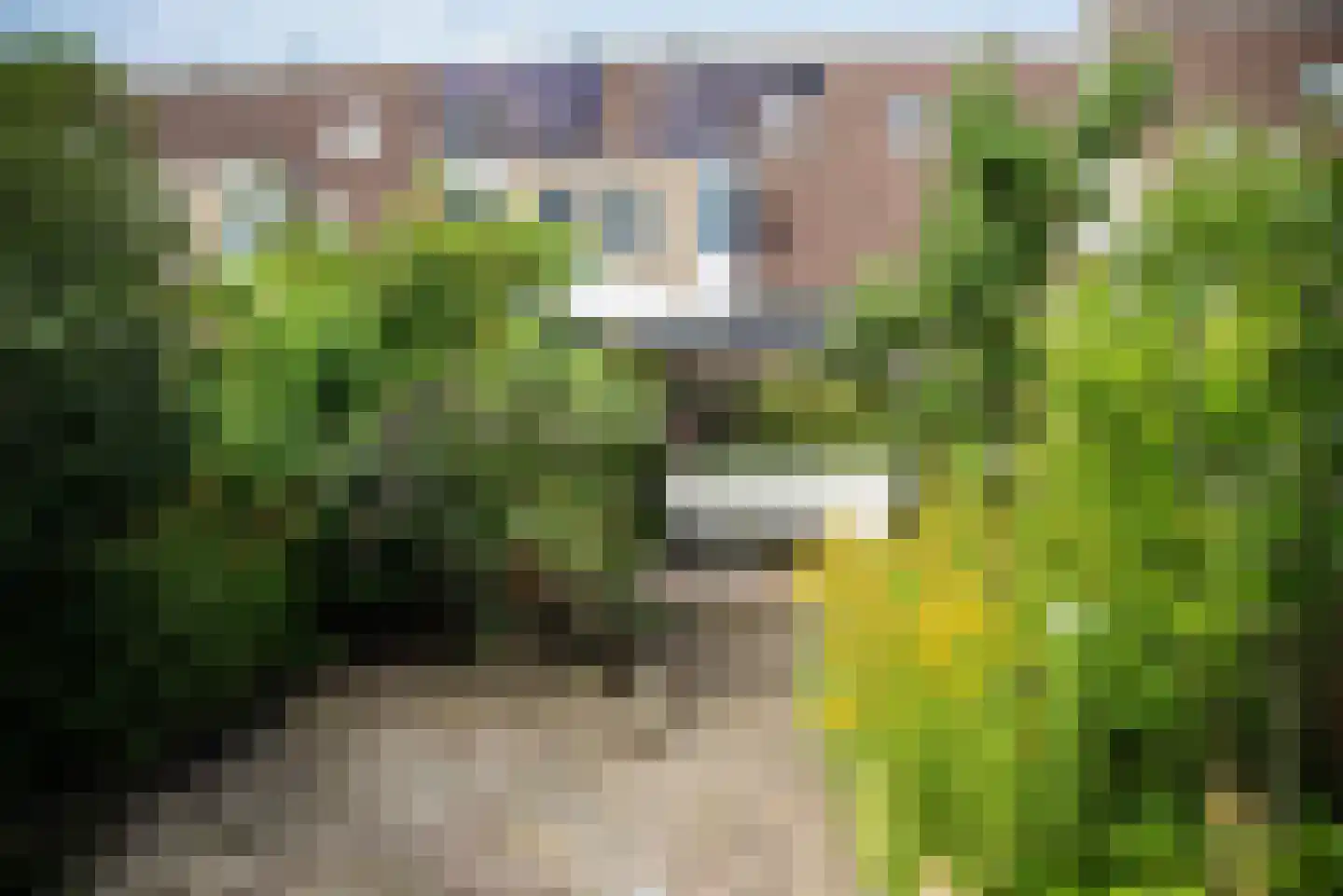 Corversbos 211 Hoofddorp foto 2