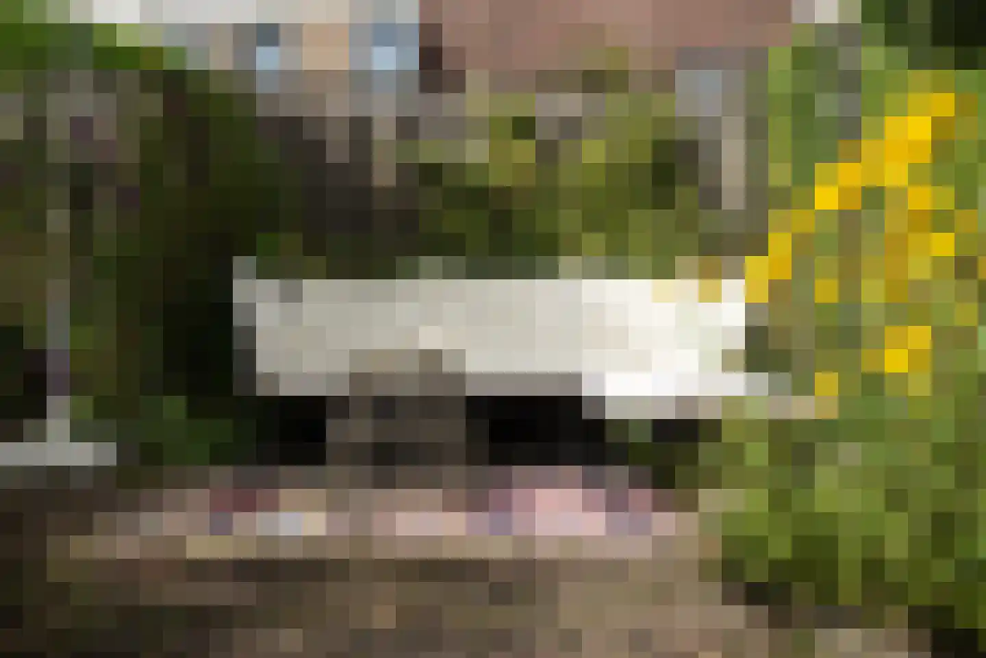 Corversbos 211 Hoofddorp thumbnail 21
