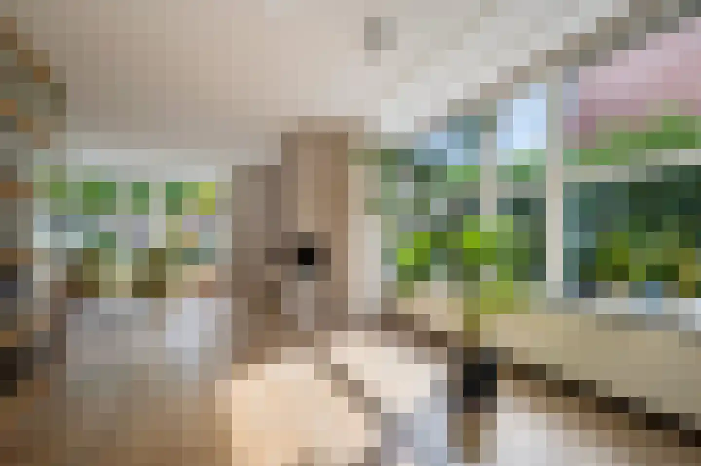 Corversbos 24 Ede thumbnail 7