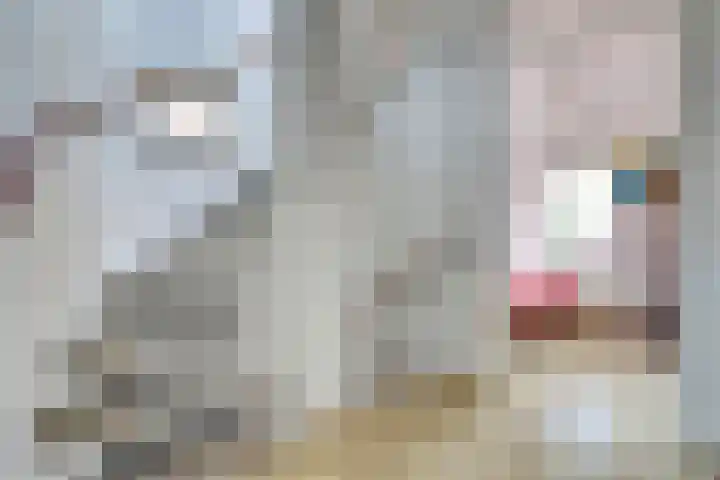 Corversbos 61 Ede thumbnail 15