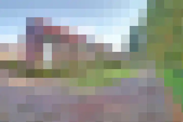 Corversbos 61 Ede thumbnail 5