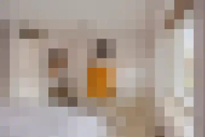 Corversbos 87 Ede thumbnail 14