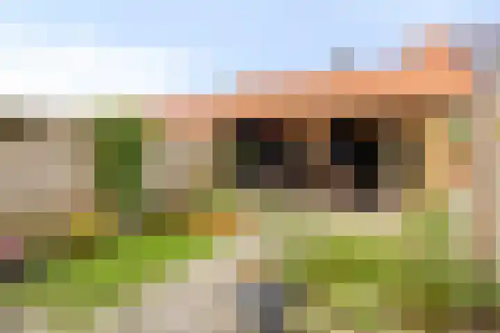 Corversbos 87 Ede thumbnail 26