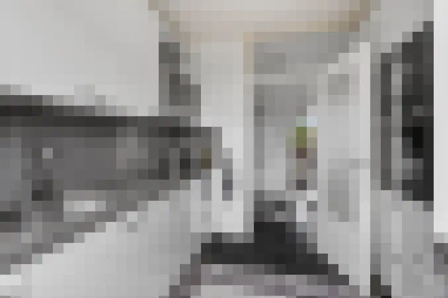 Corversbosstraat 103 Amsterdam foto 2