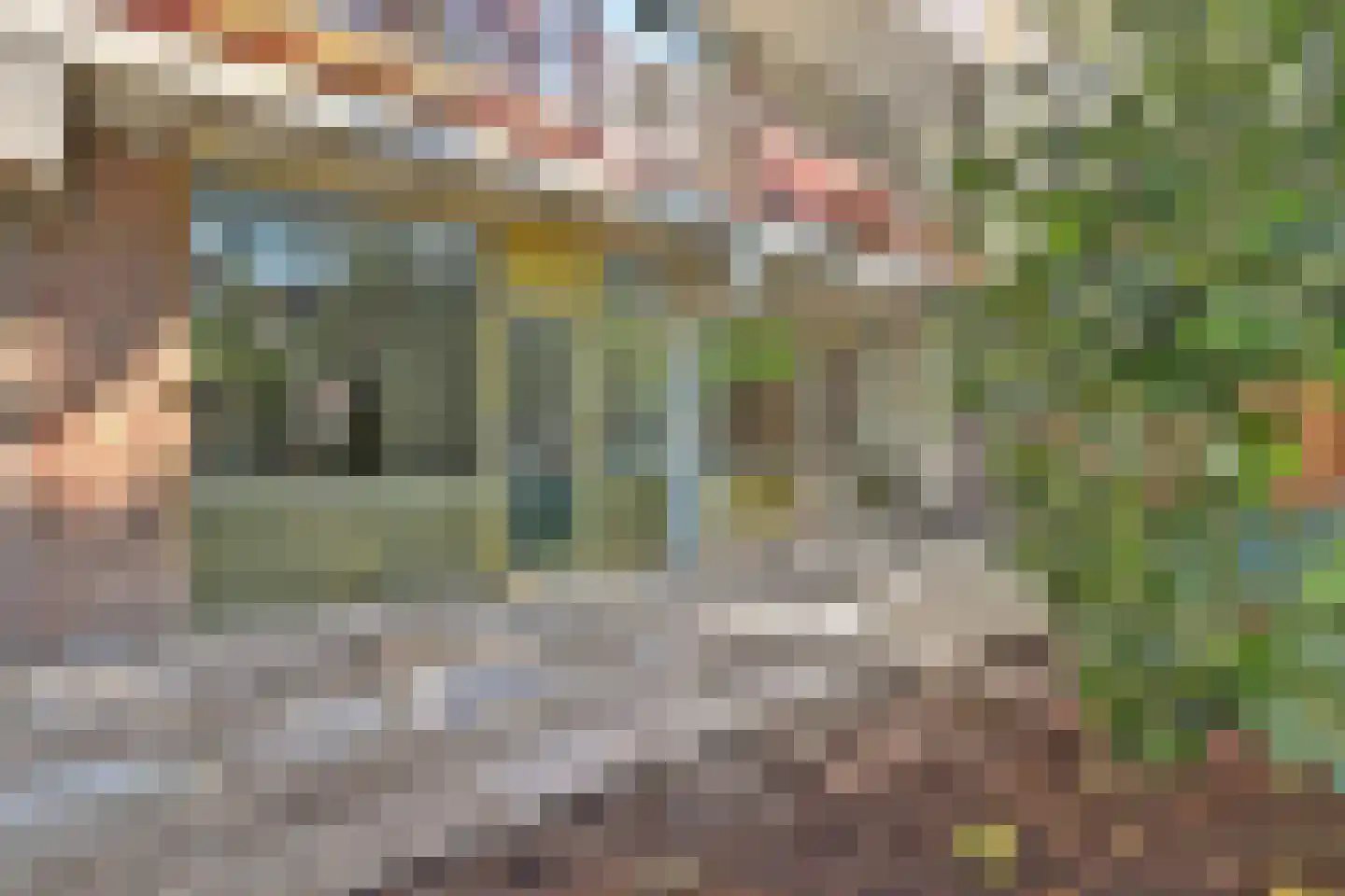 Corversbosstraat 83 Amsterdam thumbnail 20