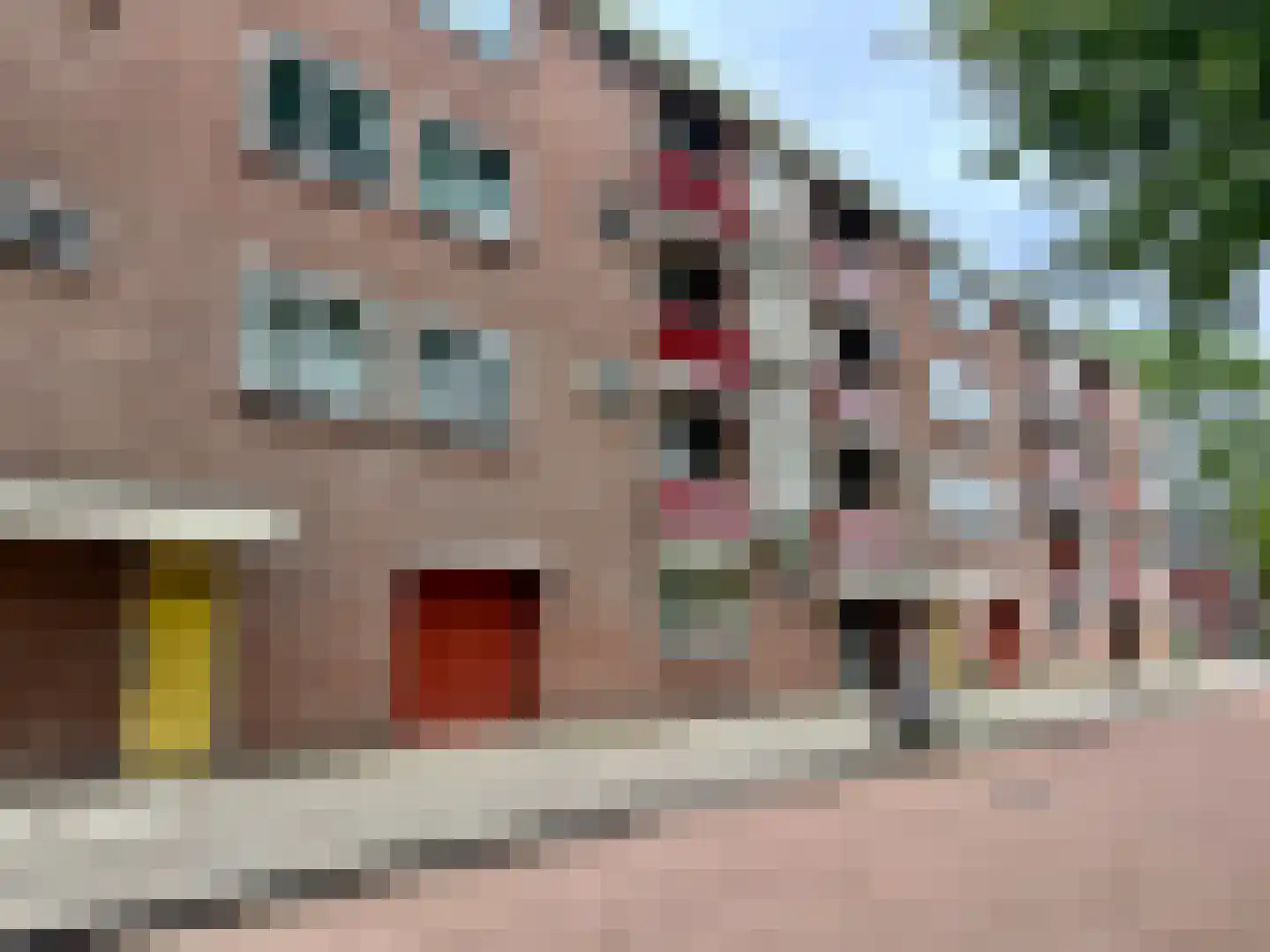 Corversbosstraat 83 Amsterdam thumbnail 25