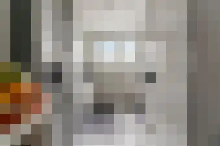 Corydastraat 85 Rotterdam thumbnail 13
