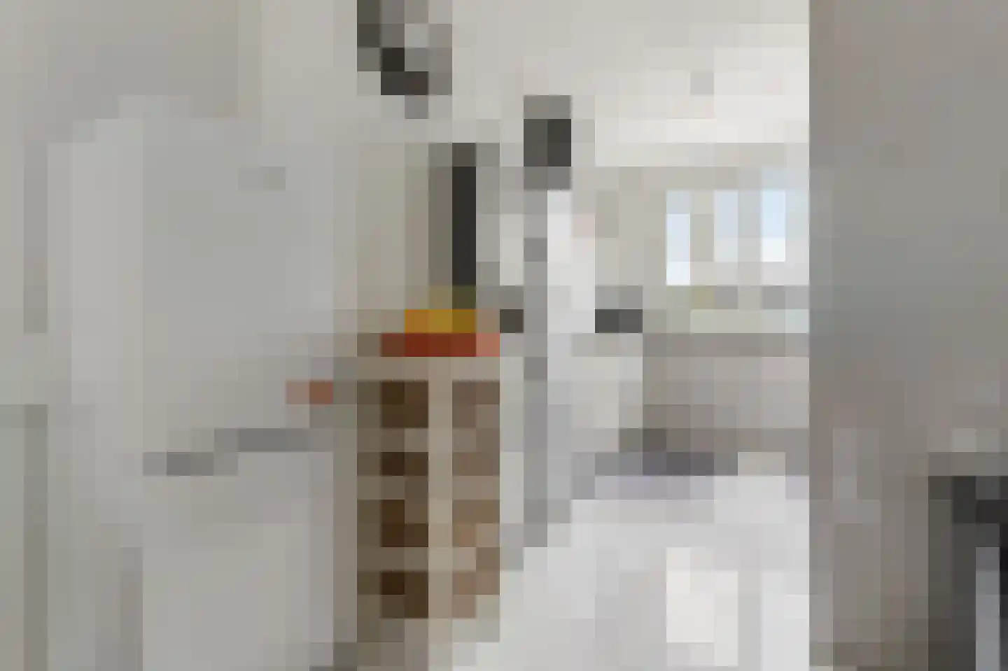 Corydastraat 85 Rotterdam thumbnail 14