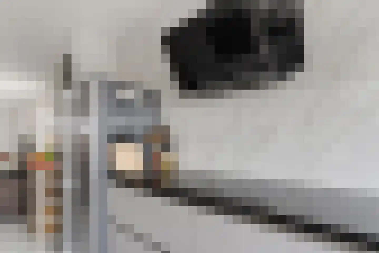 Corydastraat 85 Rotterdam thumbnail 16