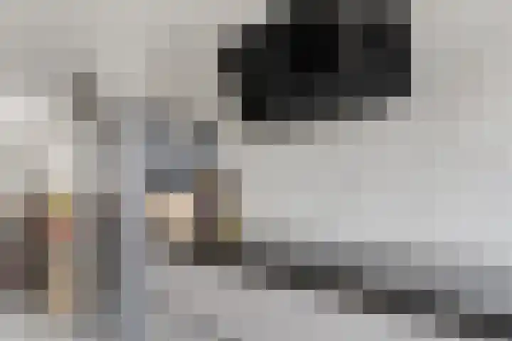Corydastraat 85 Rotterdam thumbnail 16