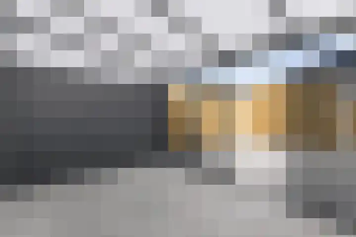 Corydastraat 85 Rotterdam thumbnail 20